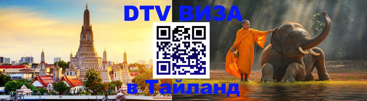Оформление DTV визы под ключ: стоимость и тарифы, только загранпаспорт - 